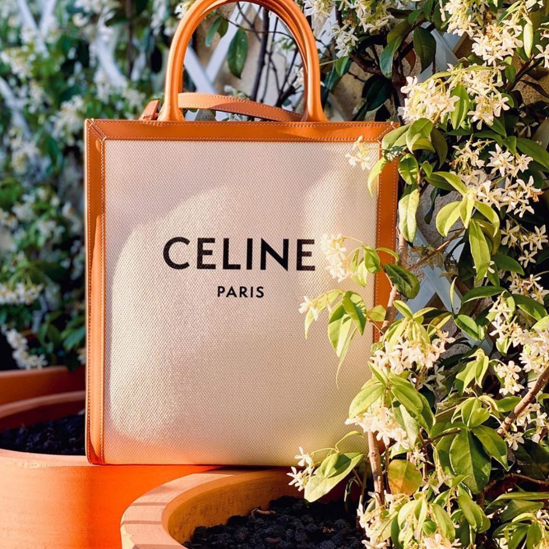 Женская вертикальная сумка Celine Cabas Small белая