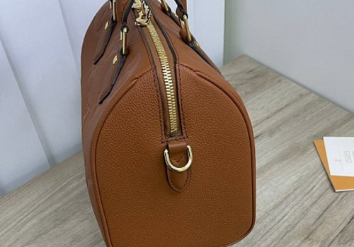 Женская сумка Louis Vuitton Speedy 25 коричневая