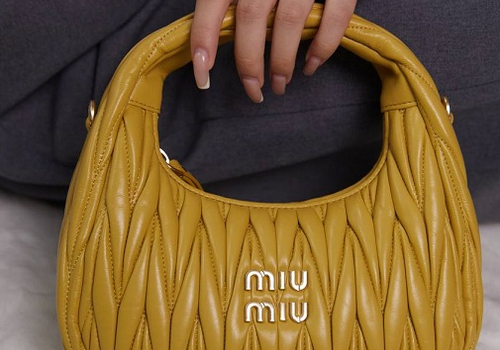 Женская кожаная сумка Miu Miu Wander mini hobo 20 см