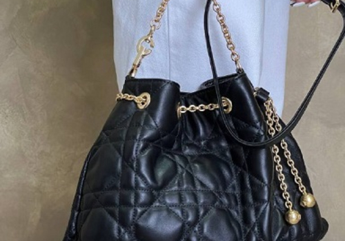 Женская кожаная черная сумка Christian Dior Ammi