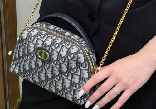 Женская сумка Christian Dior Caro D-Cosy