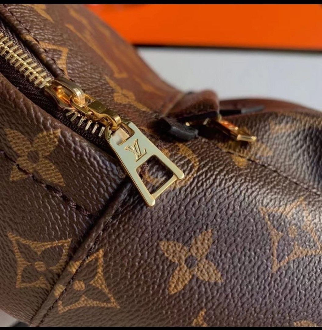 Женский коричневый рюкзак Louis Vuitton Palm Springs Mini
