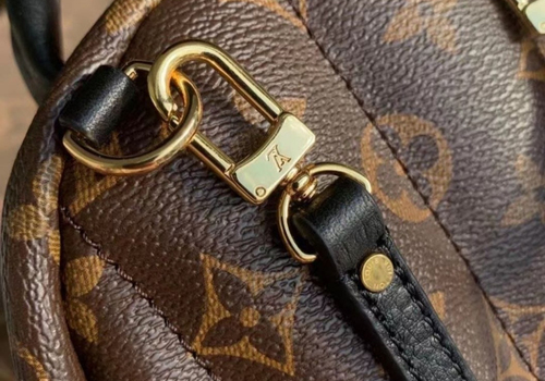 Женский коричневый рюкзак Louis Vuitton Palm Springs Mini