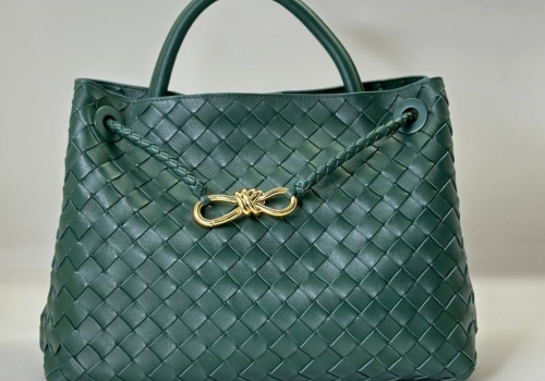 Кожаная сумка Bottega Veneta Andiamo Medium