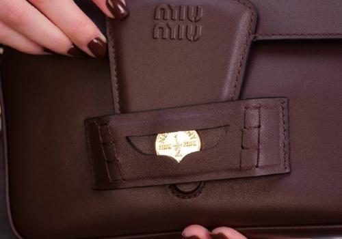 Женская кожаная сумка Miu Miu Penny коричневая